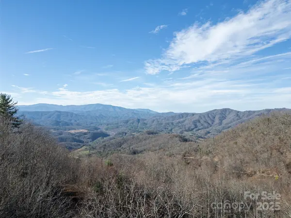 0000 Hyacinth DR, Clyde, NC 28721