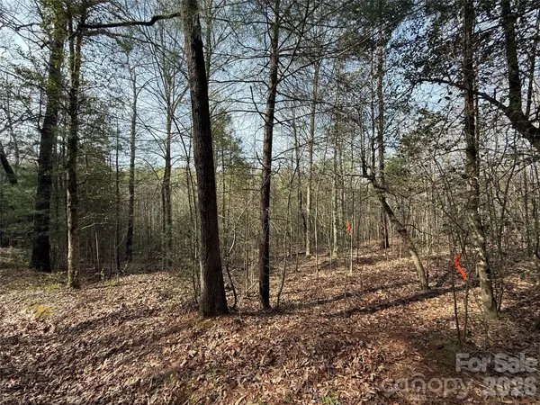 Lot # 5 West Legacy DR #5, Hendersonville, NC 28739
