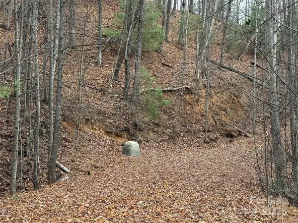 TBD Casey Mountain RD #218, Purlear, NC 28665