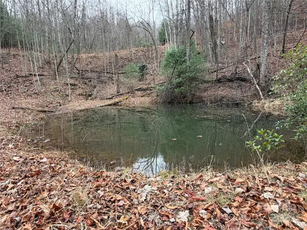 TBD Casey Mountain RD #218, Purlear, NC 28665