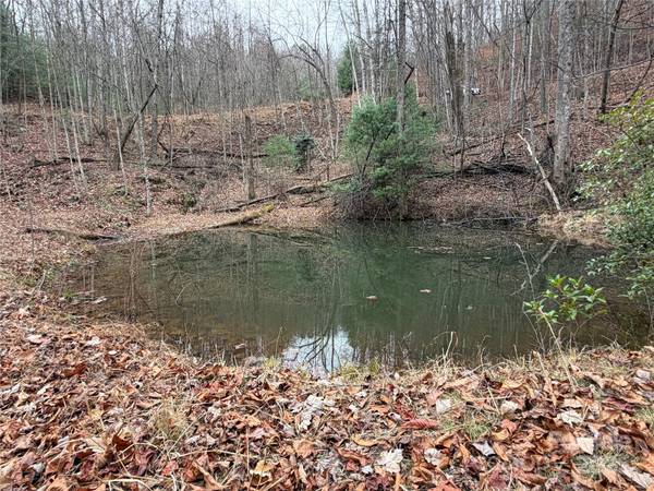 TBD Casey Mountain RD #218, Purlear, NC 28665