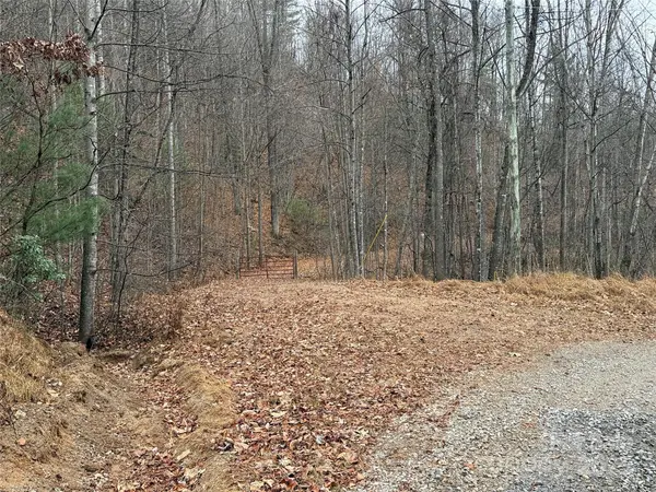 TBD Casey Mountain RD #218, Purlear, NC 28665