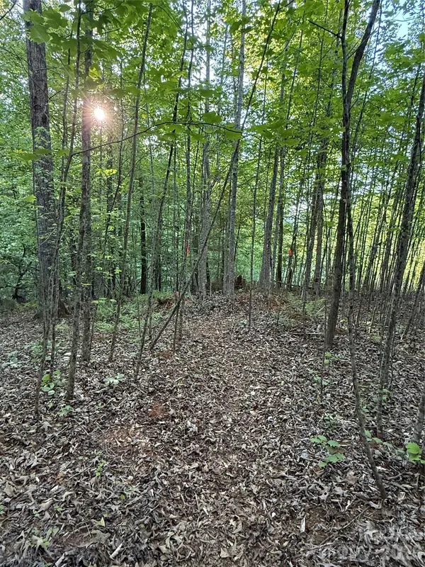 Lot # 7 West Legacy DR #7, Hendersonville, NC 28739