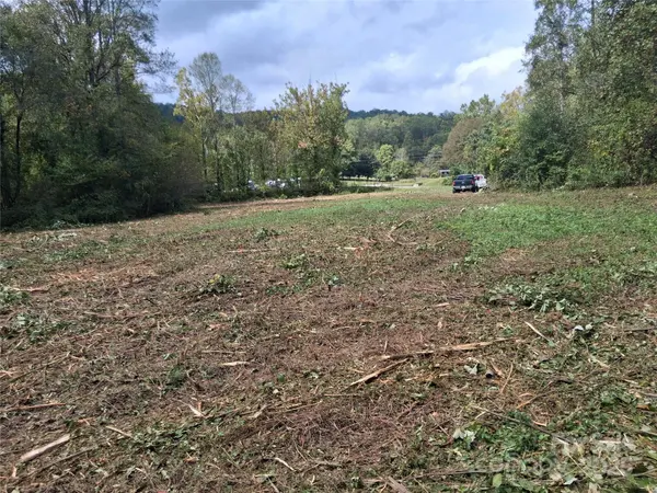 tbd 2 morgan lake RD #2, Marion, NC 28752