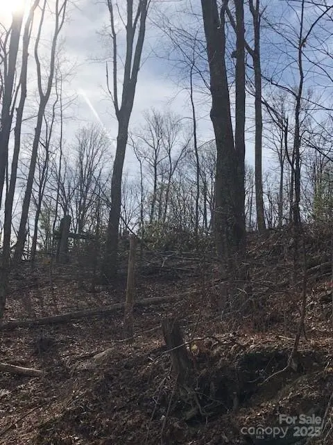000 Butler Ridge TRL #26, Hendersonville, NC 28792