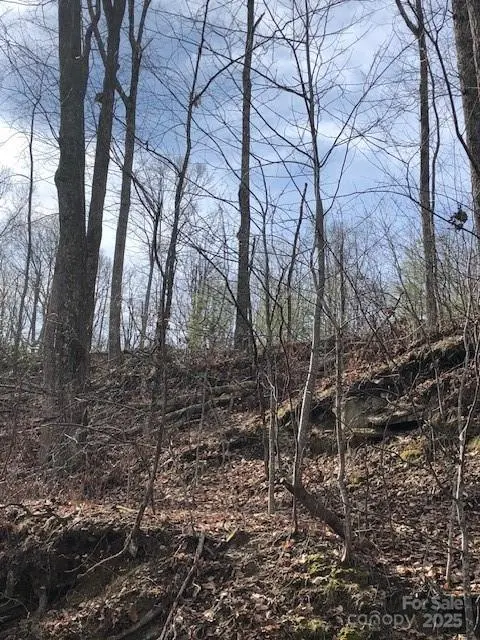 000 Butler Ridge TRL #27, Hendersonville, NC 28792