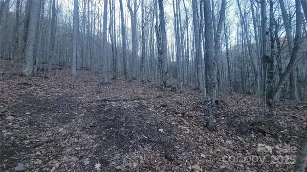 Lot 7B Hickory Springs RD #7B, Burnsville, NC 28714