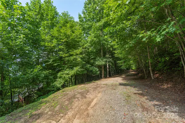 00 Pitch Fork CV #525, Waynesville, NC 28785