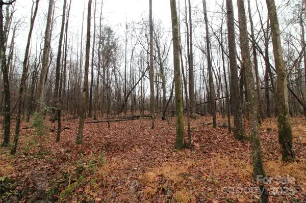 5+/-AC Eaker RD #LOT 1, Bessemer City, NC 28016