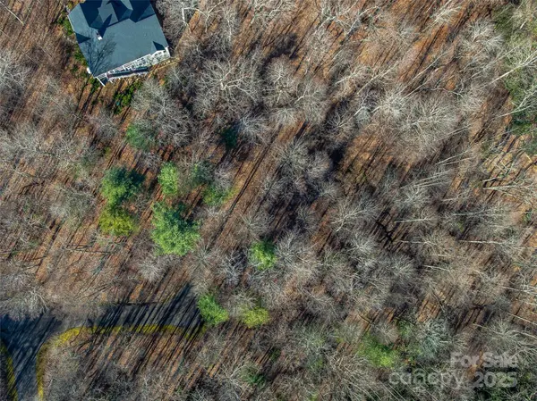 TBD Ladys Fern TRL #10, Laurel Park, NC 28739