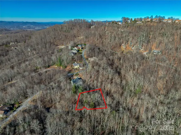 TBD Ladys Fern TRL #10, Laurel Park, NC 28739