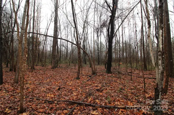 4.58+/-AC Eaker RD #LOT 4, Bessemer City, NC 28016