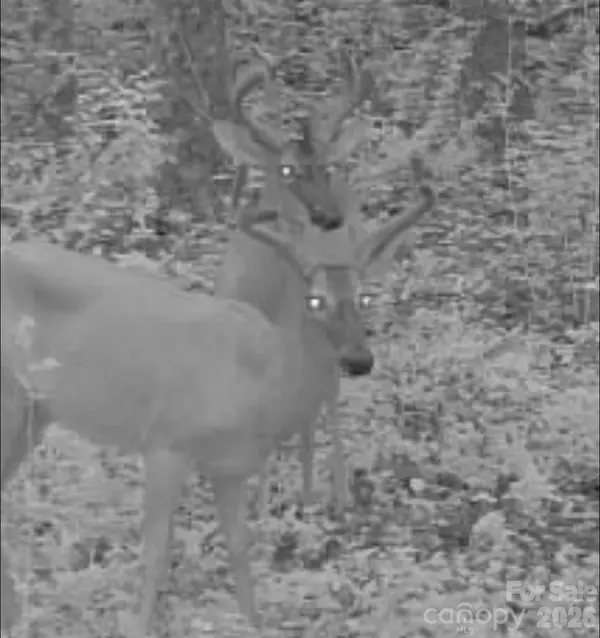 V/L Southern WAY, Nebo, NC 28761