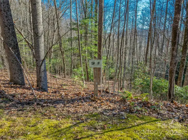 TBD Ladys Fern TRL #9, Laurel Park, NC 28739