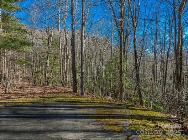TBD Ladys Fern TRL #9, Laurel Park, NC 28739