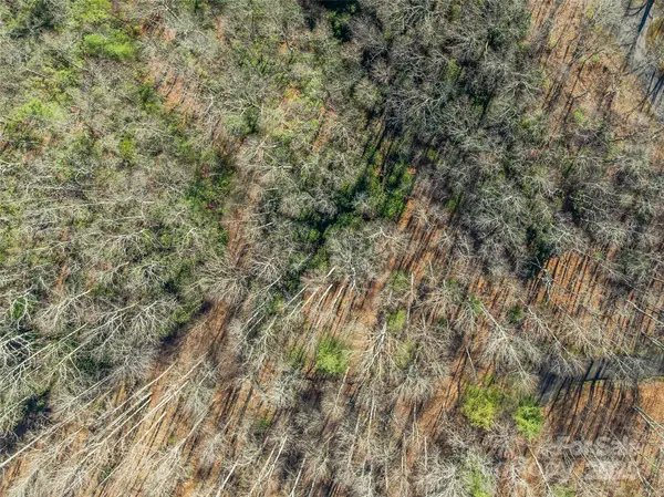 TBD Ladys Fern TRL #9, Laurel Park, NC 28739
