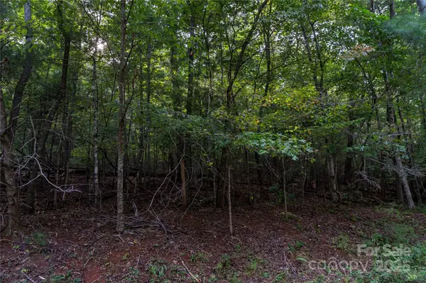 0 Swans WAY E #249&250, Lake Lure, NC 28746