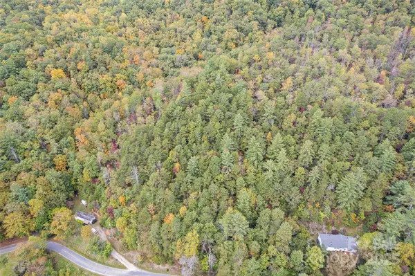 99999 Chastain RD, Scaly Mountain, NC 28775