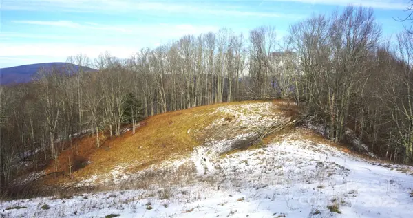 SR-1386 W Sang Branch, Hog Branch RD W, Burnsville, NC 28714