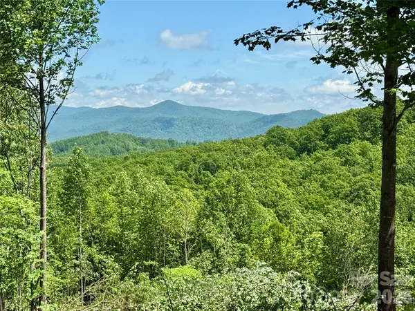 1143 Grandview Peaks DR, Nebo, NC 28761