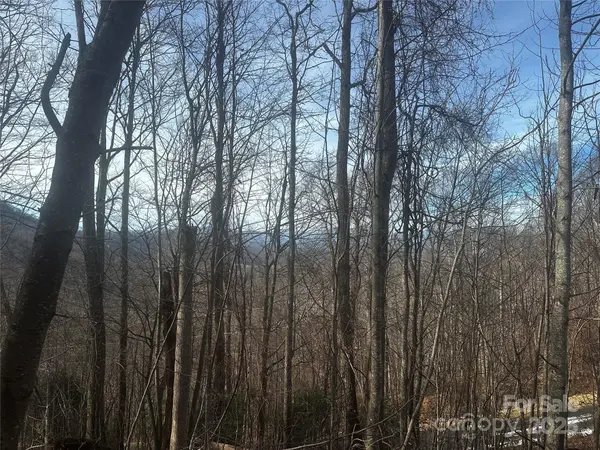 0 Wild Turkey RD #21, Bakersville, NC 28705