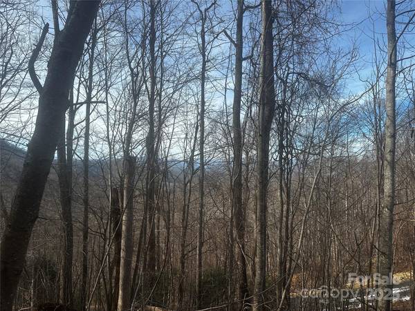 0 Wild Turkey RD #21, Bakersville, NC 28705