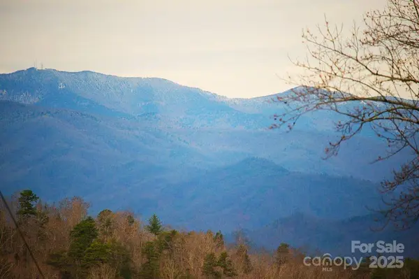 00 Jarrell LOOP, Old Fort, NC 28762