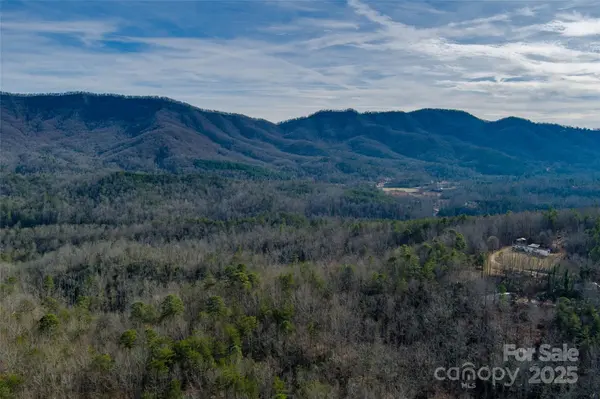 00 Jarrell LOOP, Old Fort, NC 28762