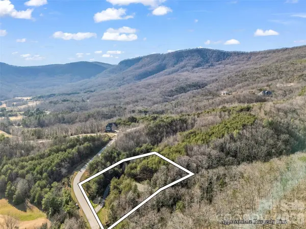 61 Deep Gap Farm RD E, Mill Spring, NC 28756
