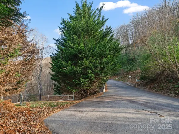 99999 Flora Rose TRL, Asheville, NC 28803