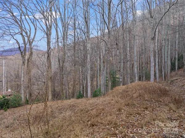 99999 Flora Rose TRL, Asheville, NC 28803