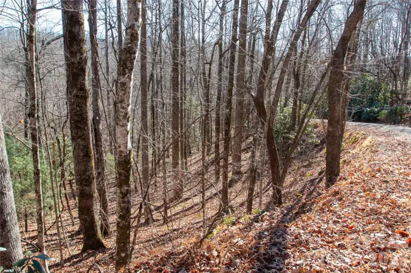 Lot 26 Big Branch RD, Brevard, NC 28712