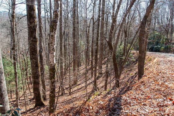 Lot 26 Big Branch RD, Brevard, NC 28712