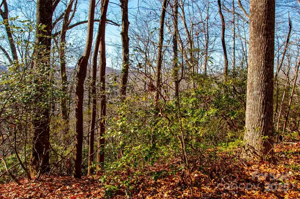 Lot 18 Joshua RD, Rosman, NC 28772