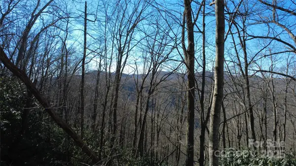 Lot 18 Joshua RD, Rosman, NC 28772