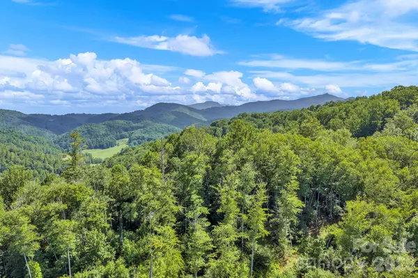 TBD NC Highway 194 None S, Sugar Grove, NC 28679