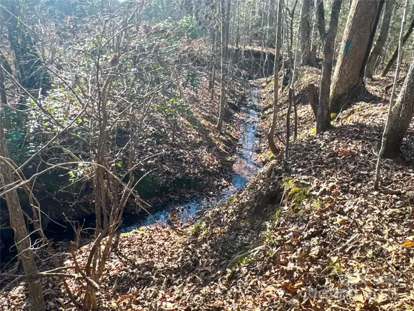 00 Ellis Ferry RD, Shelby, NC 28152