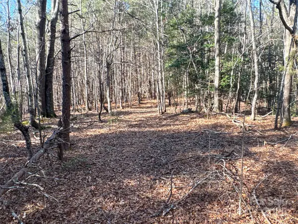 00 Ellis Ferry RD, Shelby, NC 28152