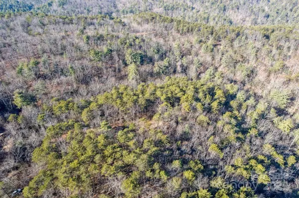 0 SASSAFRAS LN, Connelly Springs, NC 28612