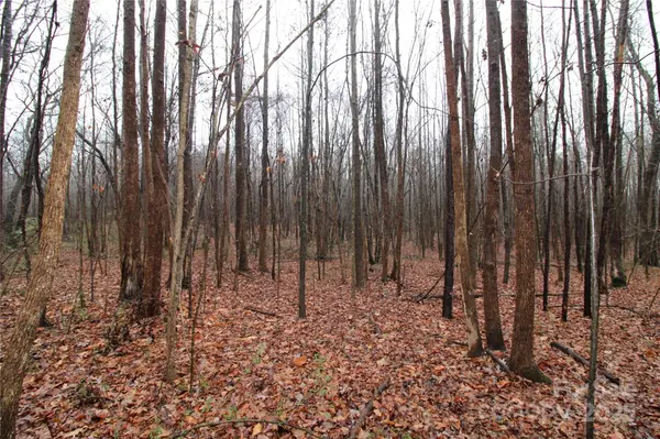14.41+/-AC Eaker RD #LOT P, Bessemer City, NC 28016