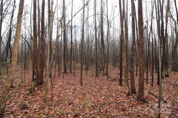 14.41+/-AC Eaker RD #LOT P, Bessemer City, NC 28016
