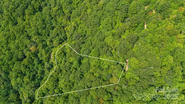 Lot 21 Cat Pen Branch RD, Hot Springs, NC 28743