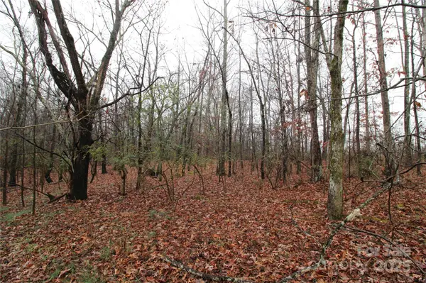 8.94+/-AC Bess RD #LOT L, Bessemer City, NC 28016