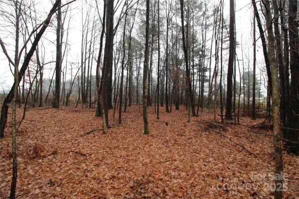 8.94+/-AC Bess RD #LOT L, Bessemer City, NC 28016