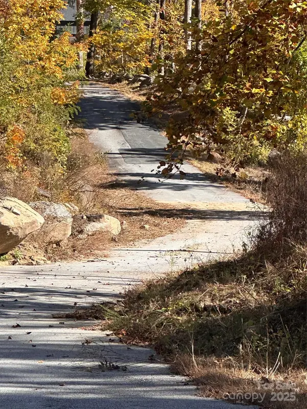000 Cascada Vista DR, Chimney Rock, NC 28720