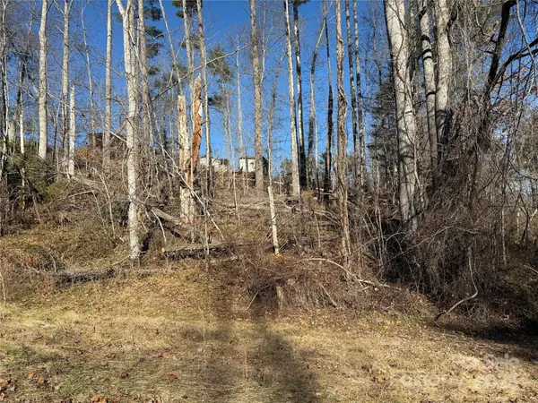 TBD George McKinney CIR, Spruce Pine, NC 28777