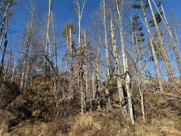TBD George McKinney CIR, Spruce Pine, NC 28777