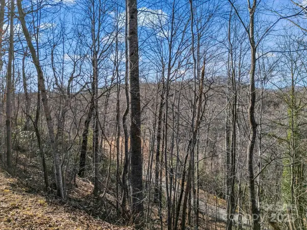 0000 Holmes RD, Lake Lure, NC 28746