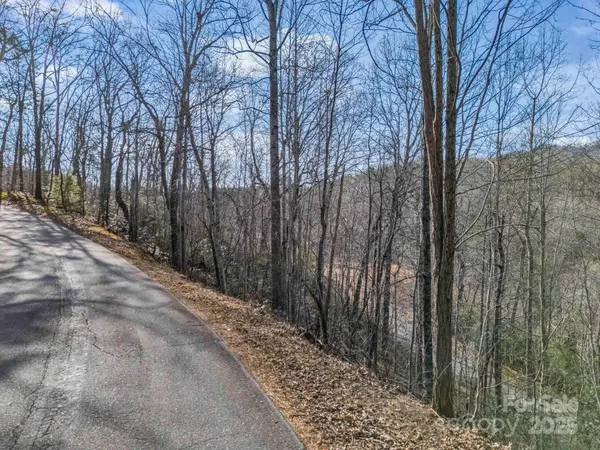 0000 Holmes RD, Lake Lure, NC 28746