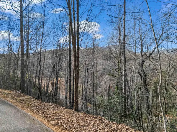 0000 Holmes RD, Lake Lure, NC 28746